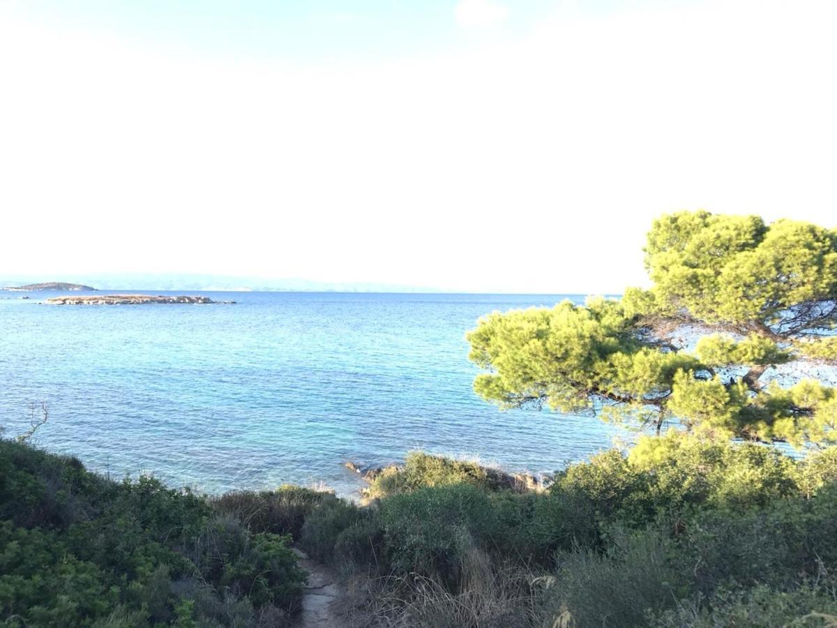 Makis Nest Apart-Hotel Βουρβουρού Εξωτερικό φωτογραφία
